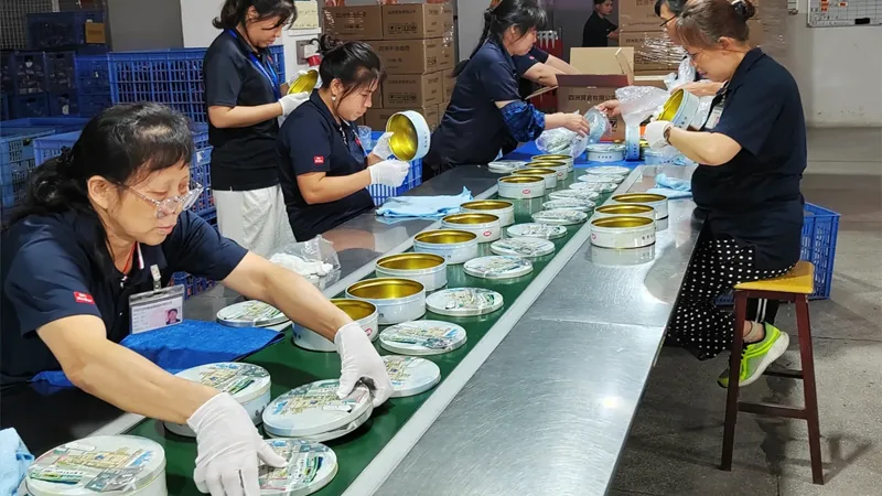Tin Packaging Forming Inspection
